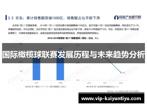 国际橄榄球联赛发展历程与未来趋势分析 国际橄榄球联赛发展历程与未来趋势分析