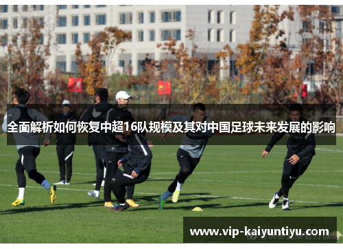 全面解析如何恢复中超16队规模及其对中国足球未来发展的影响