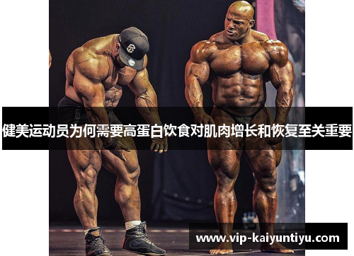 健美运动员为何需要高蛋白饮食对肌肉增长和恢复至关重要
