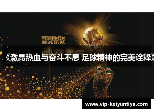 《激昂热血与奋斗不息 足球精神的完美诠释》