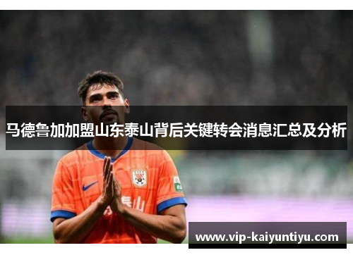 马德鲁加加盟山东泰山背后关键转会消息汇总及分析 马德鲁加加盟山东泰山背后关键转会消息汇总及分析