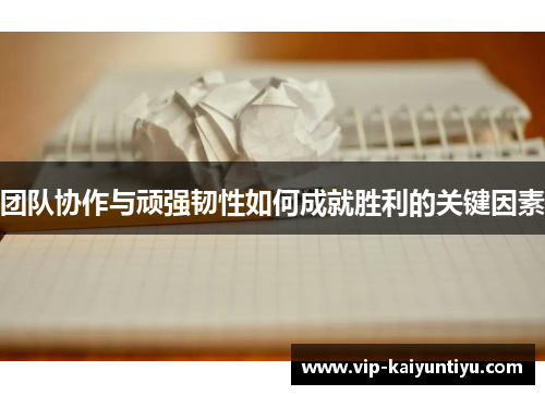 团队协作与顽强韧性如何成就胜利的关键因素